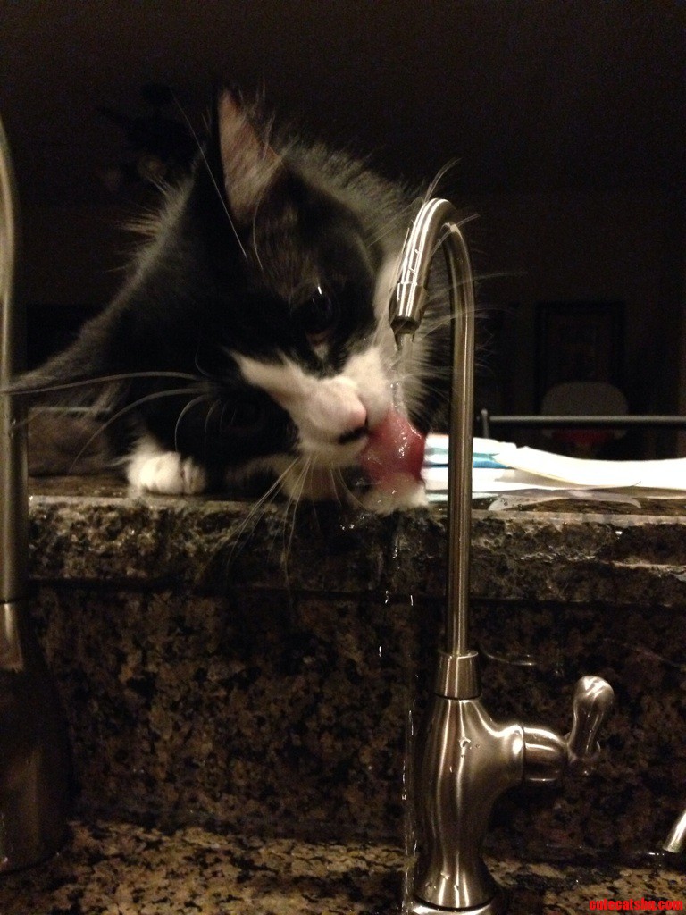 She Loves Drinking From Here