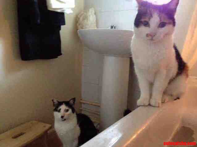 Cant A Chap Take A Bath Without Getting Stared Out By You Two Weird Bastards