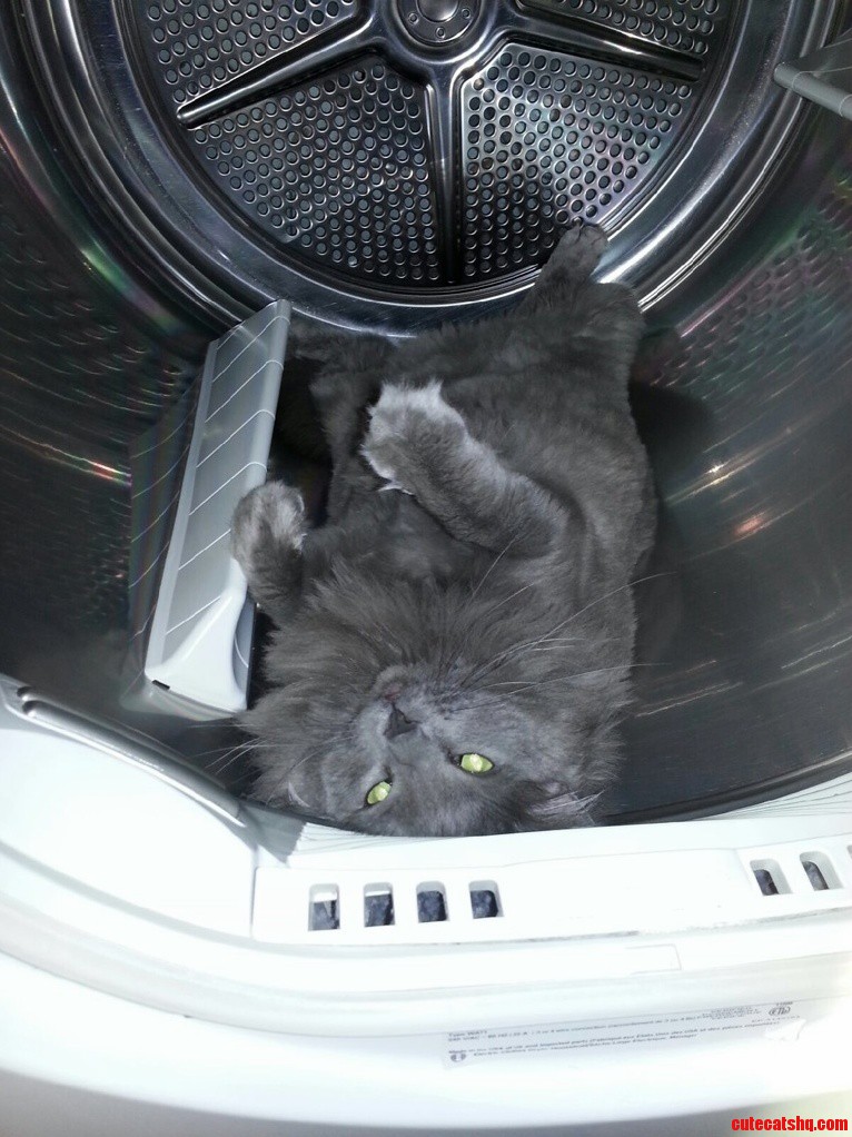 He Claimed The Dryer In A Very Serious Way This Morning.