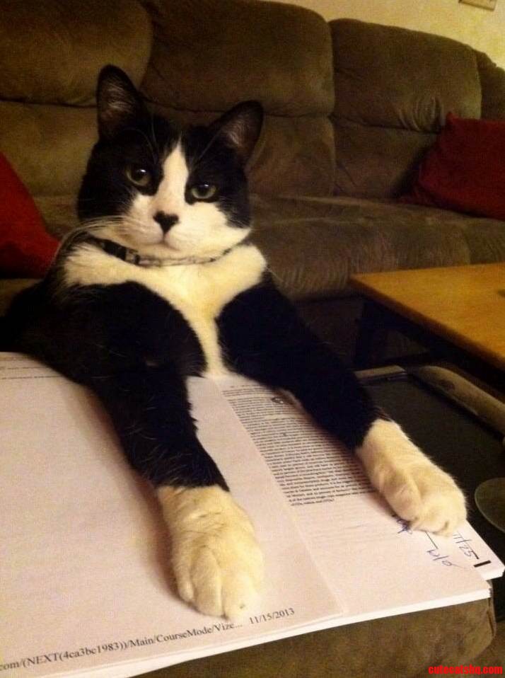 He Doesnt Let You Study