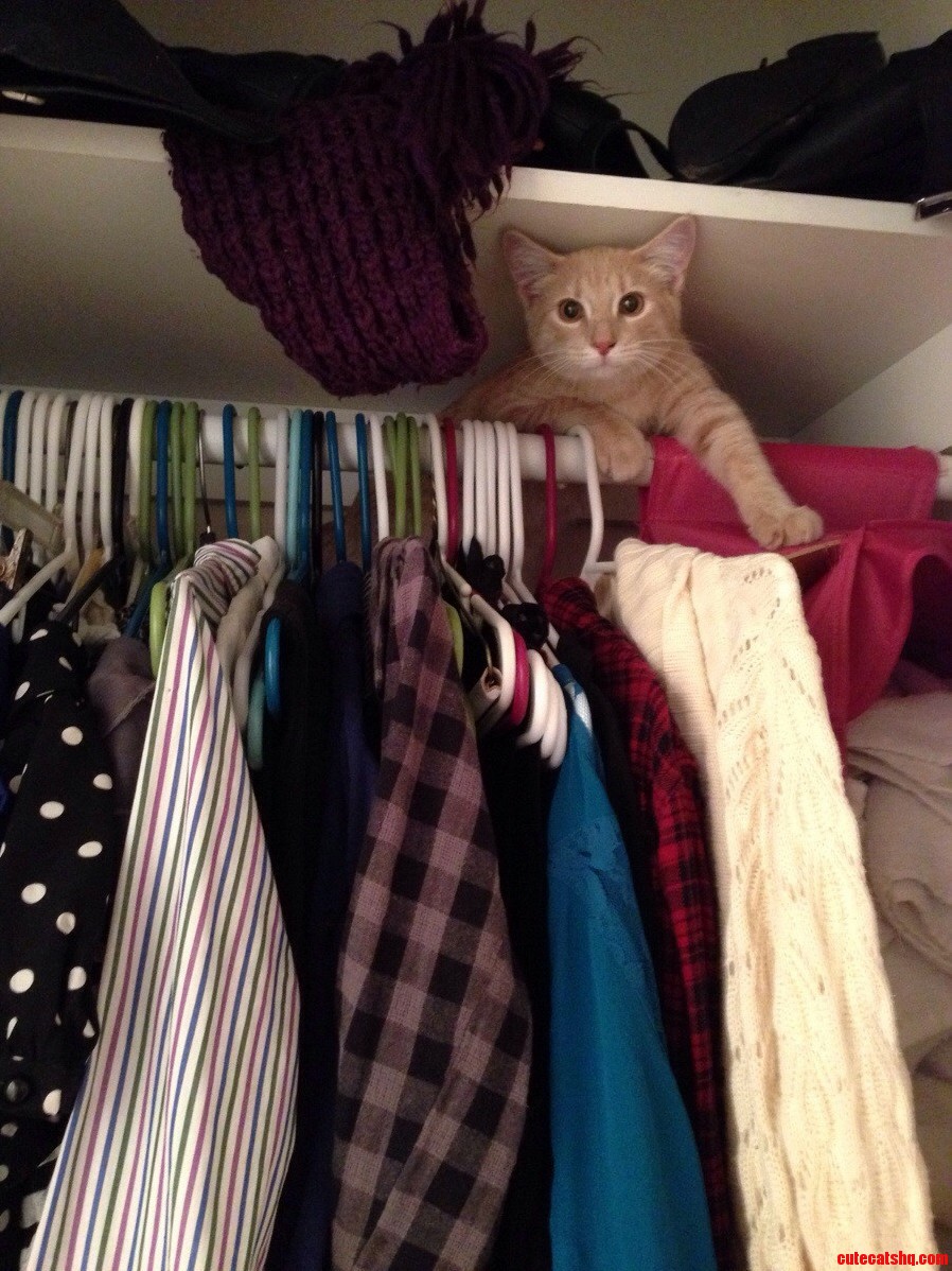 Heard A Noise In My Closet…