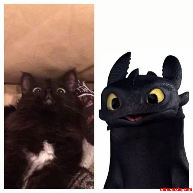 How To Train Your Dragon Doppelganger
