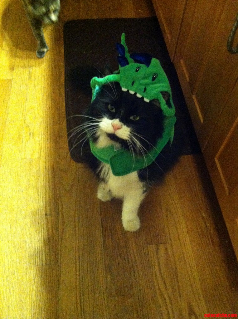Shadow Was Reptar For Halloween.
