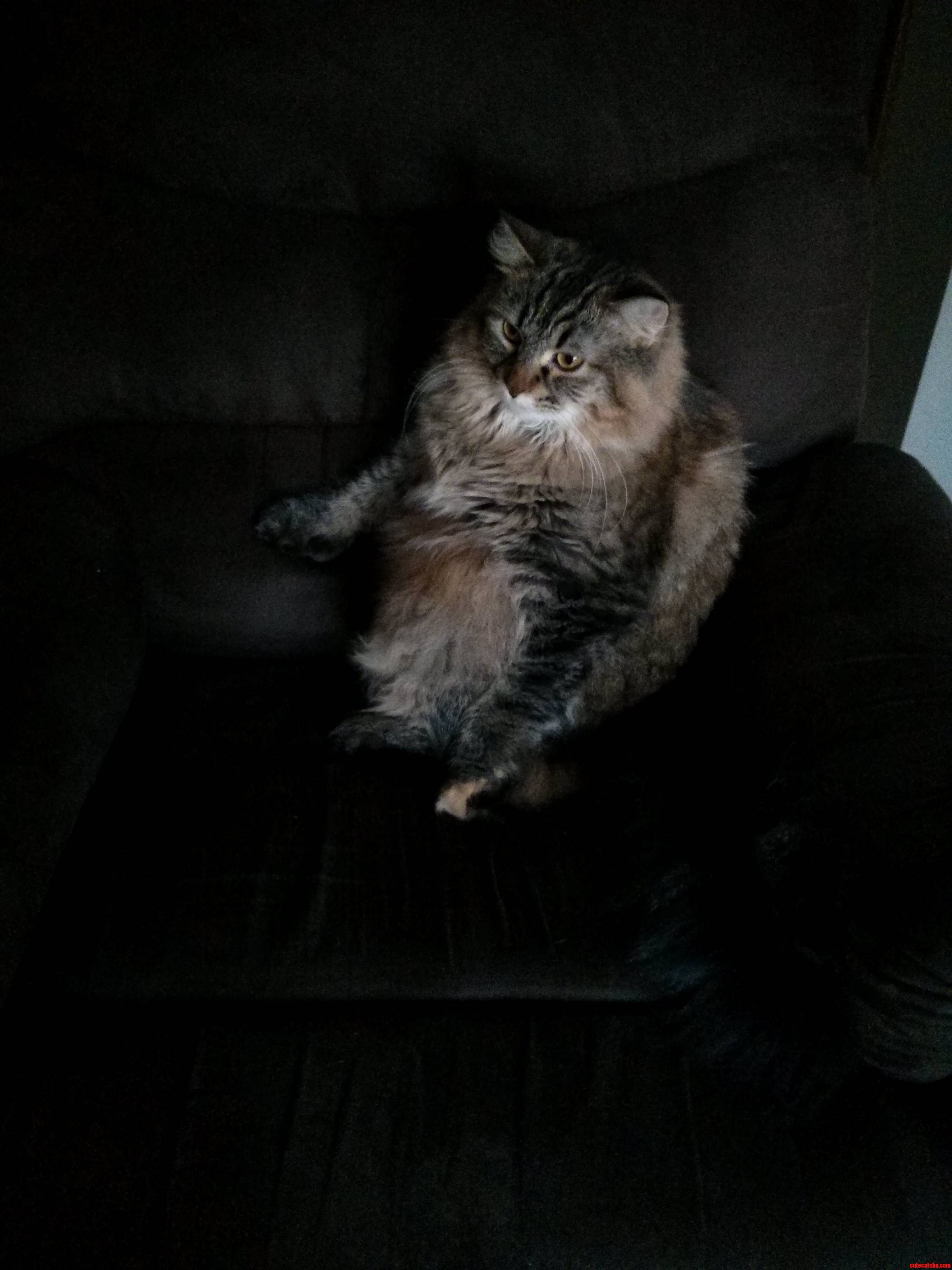 She Is A Fat Ass But She Is So Cute Sitting In Her Chair.