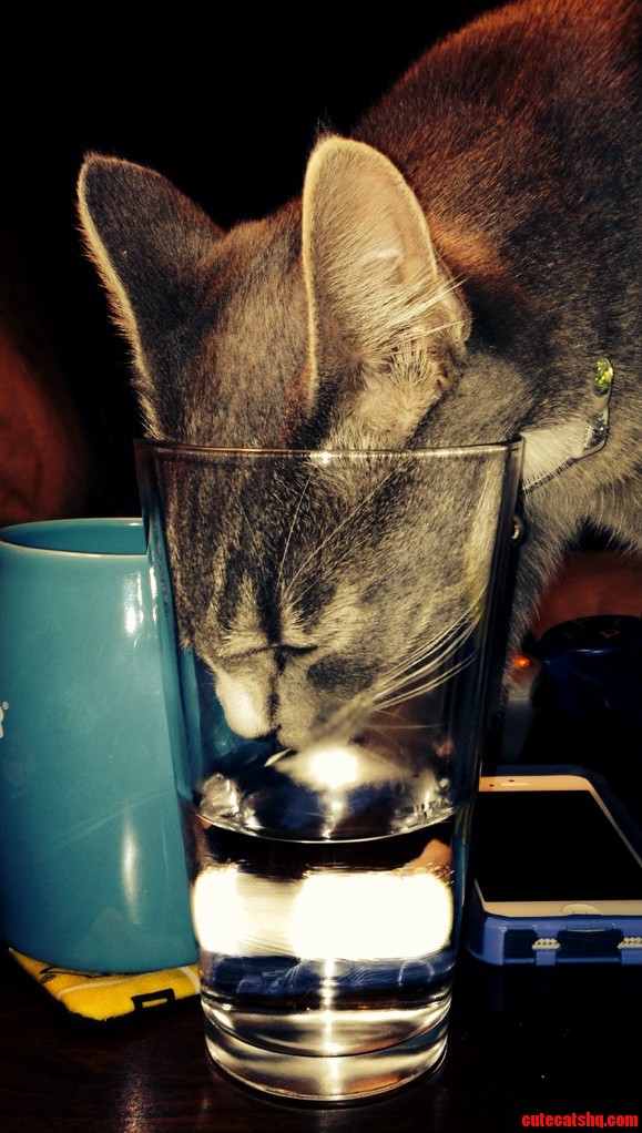 Sherlock Will Do Anything For A Drink From My Glass