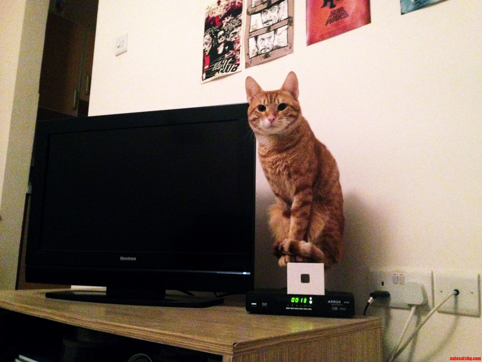 So I Put A Box There To Avoid Him Sitting On Top Of The Decoder..