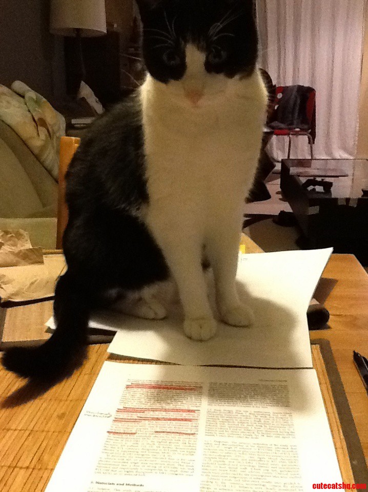 The Secret To Academic Successes Is Having The Right Study Buddy.
