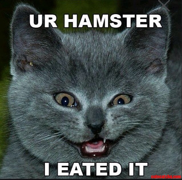 Ur Hamster. I Eated It