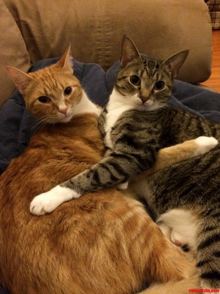 Brother And Sister Snuggle Time.