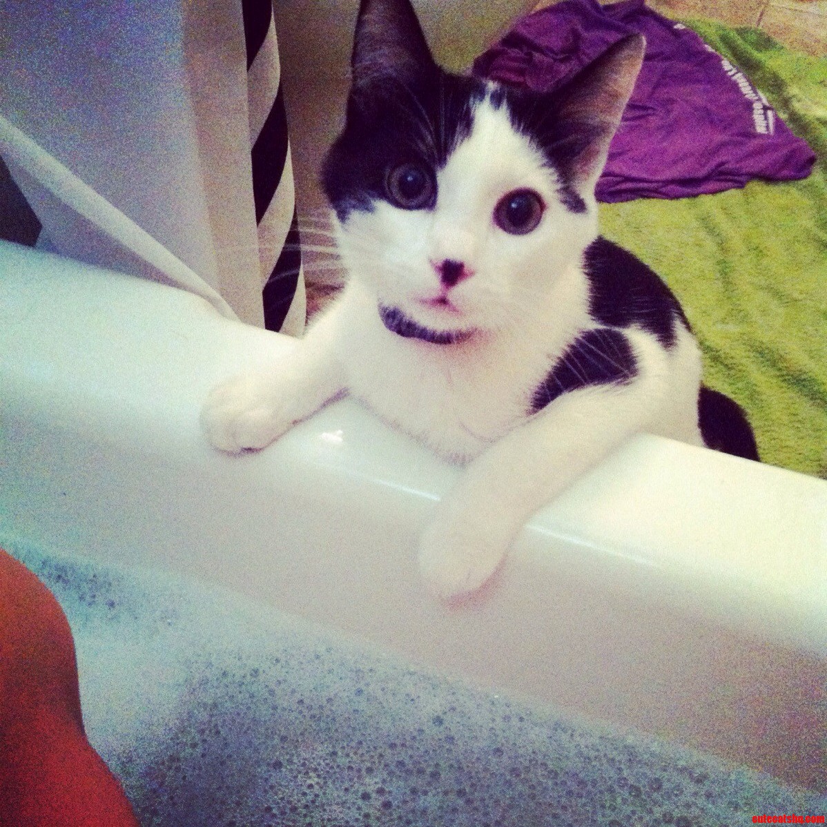 He Gets Really Concerned Every Time I Take A Bath..