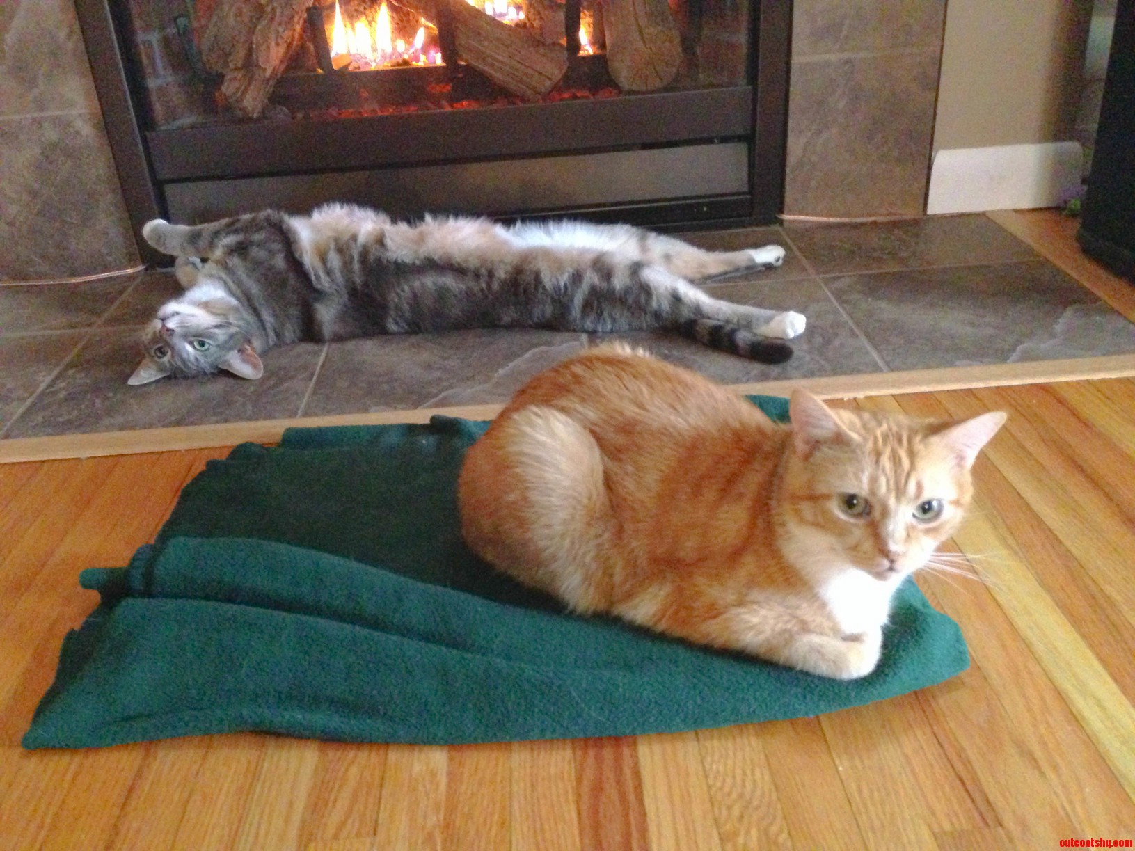 Just Spreading Out Next To The Fire