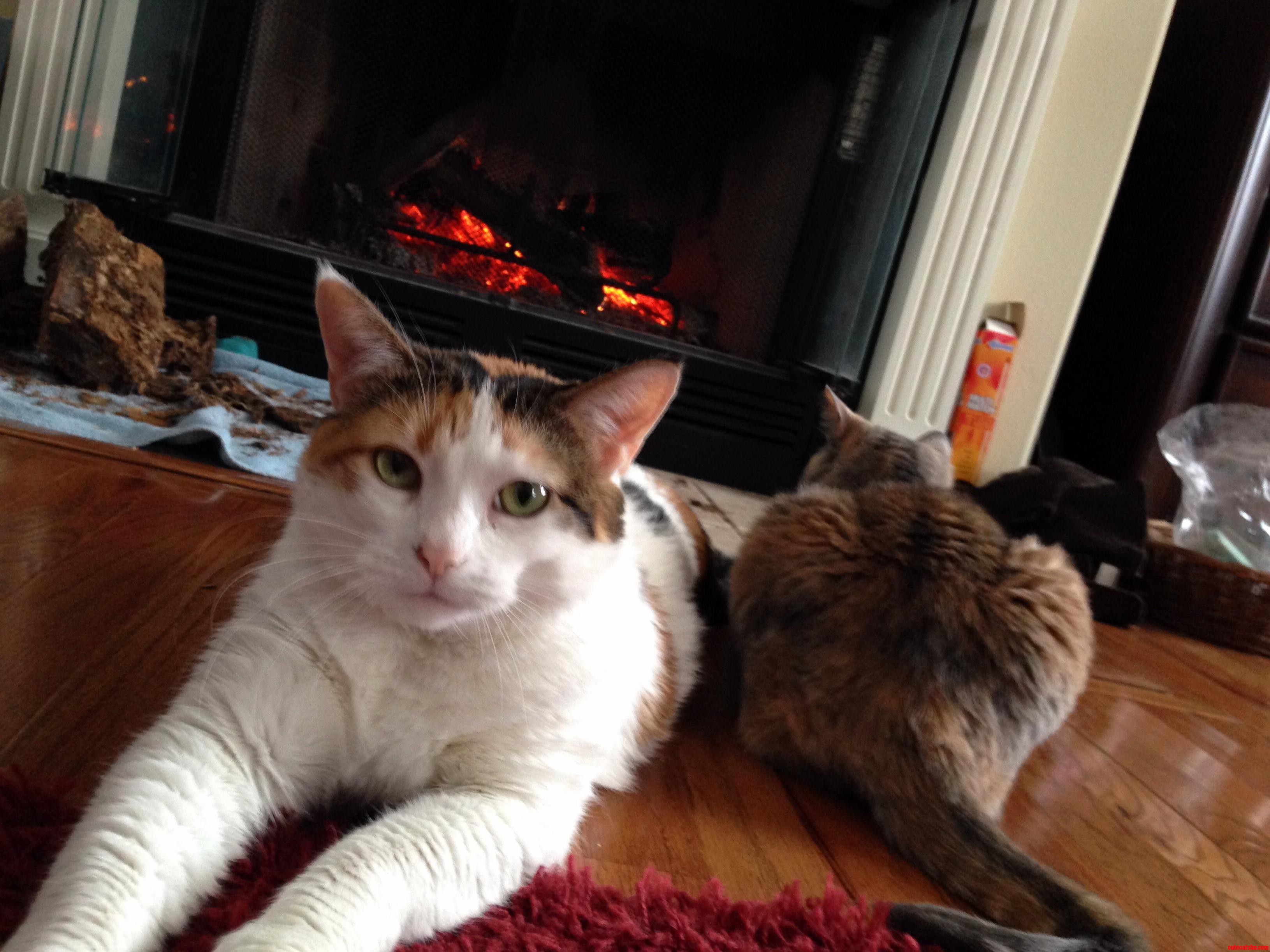 Kirra And Hahli Are Enjoying The Warm Embers.