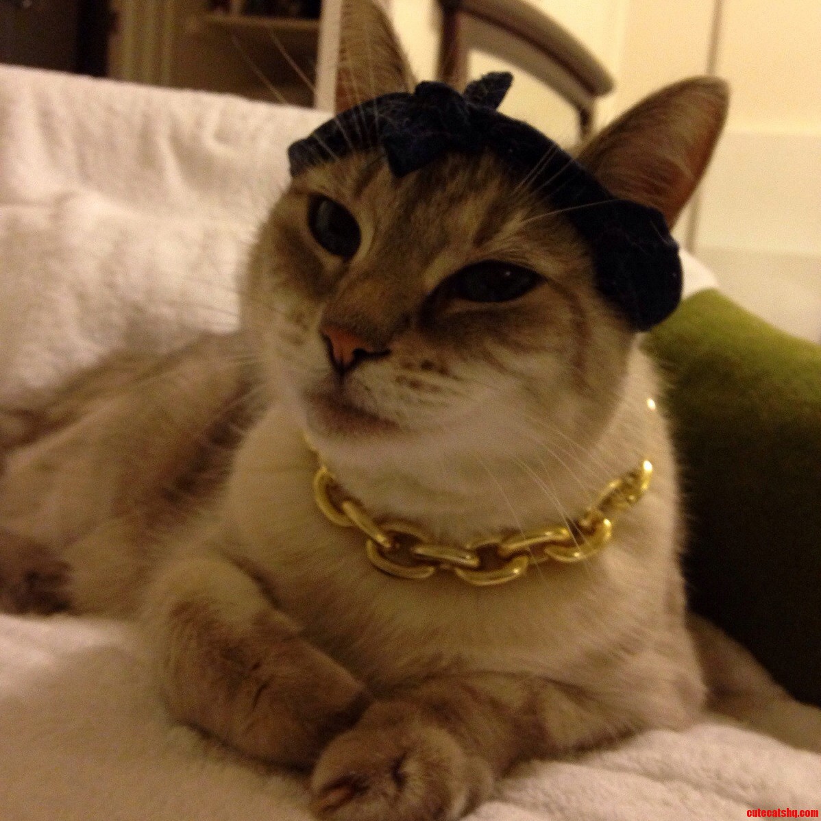 Meow Meow As Mewpac Shakur.