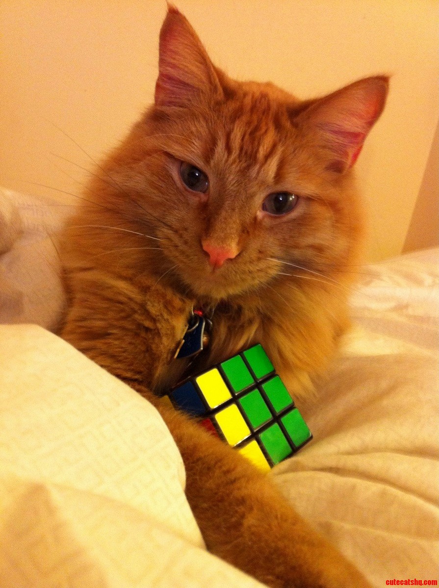 Mommy Wants To Finish The Rubix Cube But Luke Wants To Play