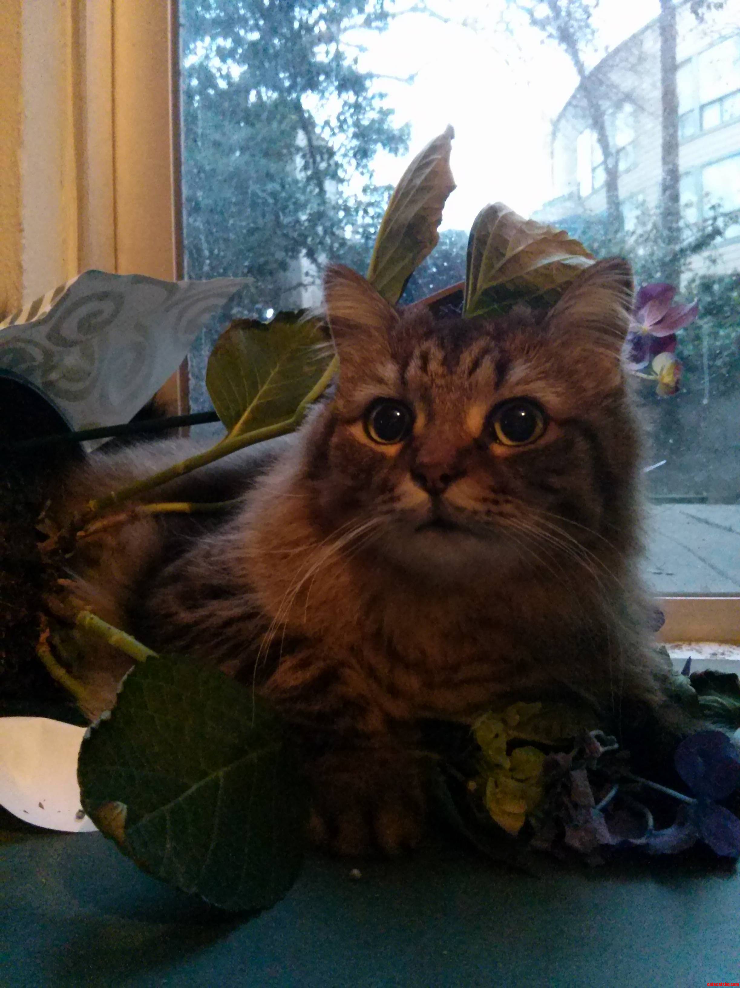 He Really Likes This Plant.