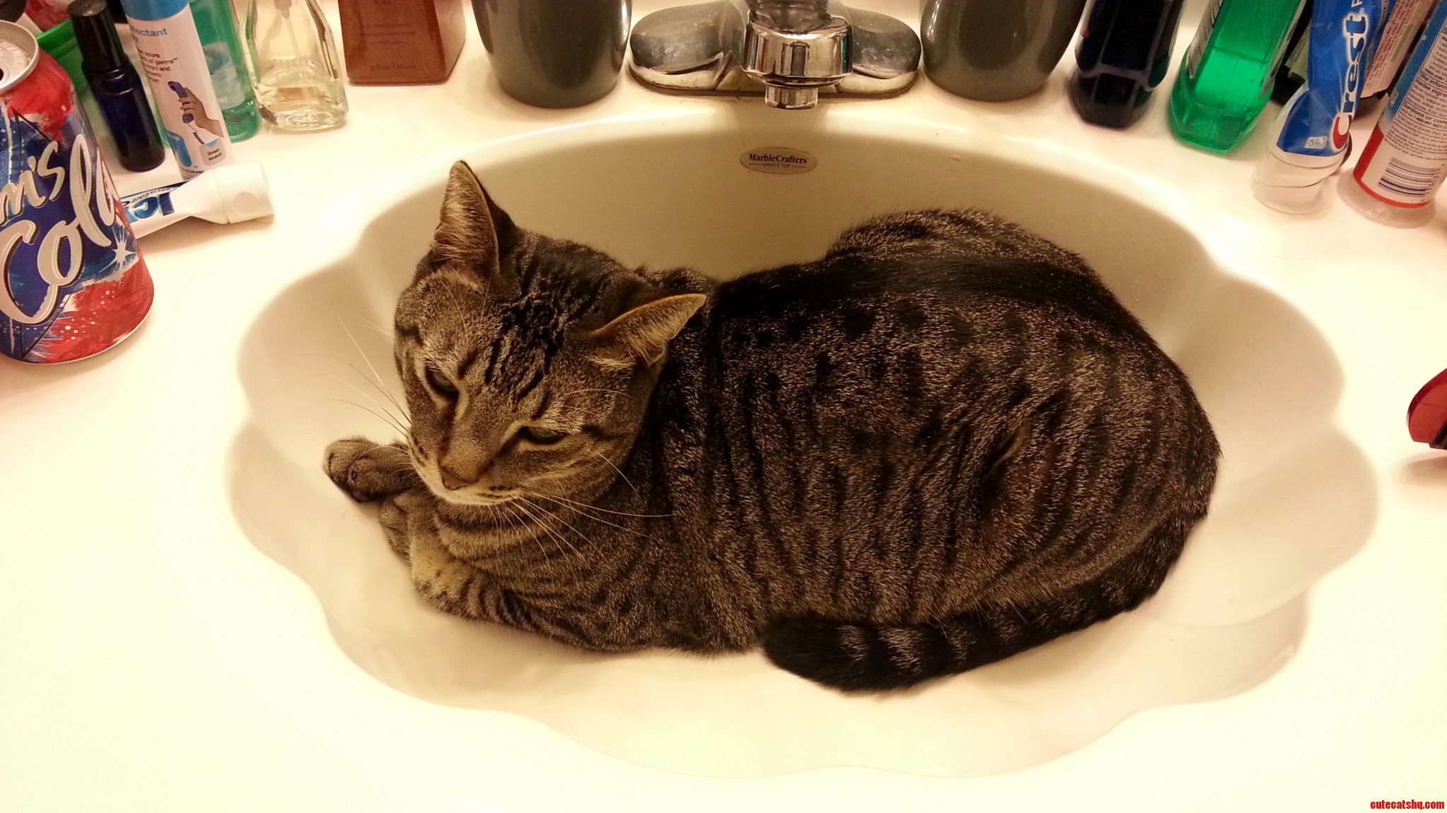 I Keep Telling Him That I Need To Use The Sink But I Get The Feeling He Doesnt Really Care.