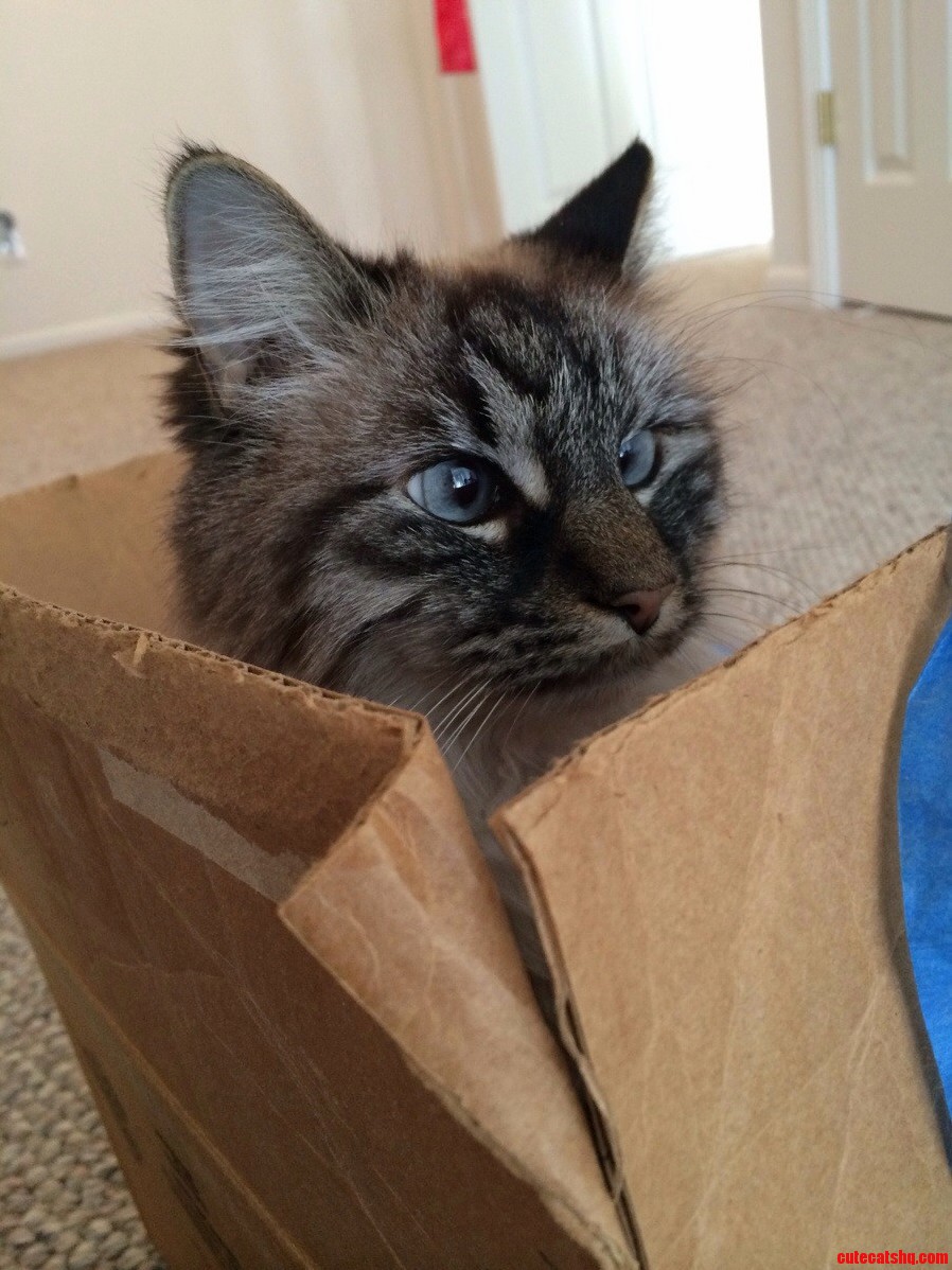 In Her Box.