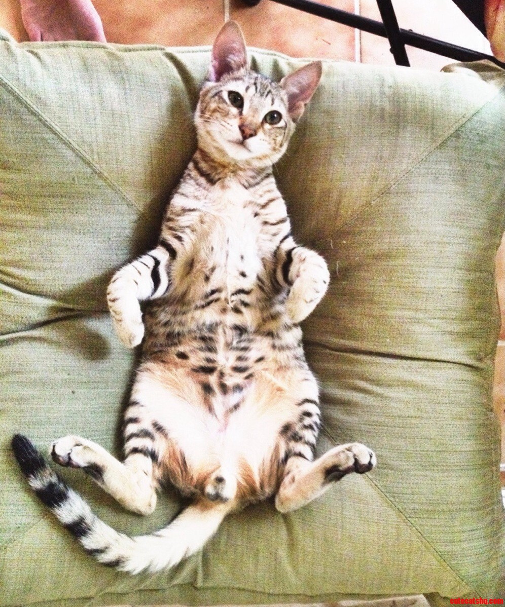 Paint Me Like One Of Your French Girls