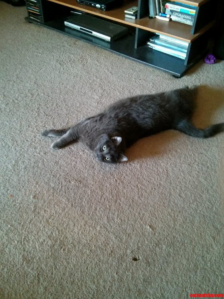 All He Ever Does Is Lay Around. This Is Oliver