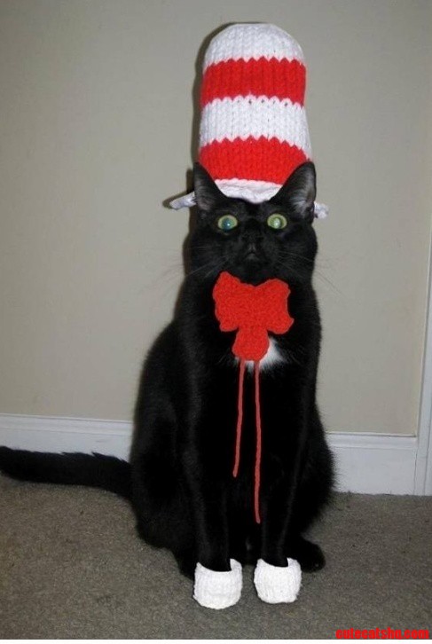 Dr. Seusss Cat In The Hat