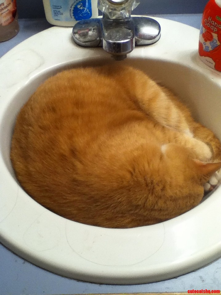 Gabe Used To Sleep In The Sink.
