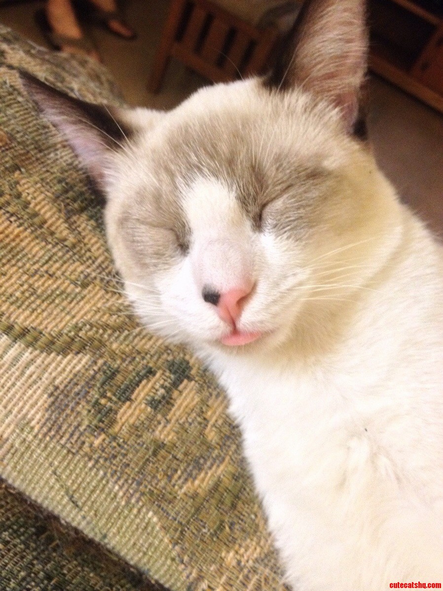 Gilgamesh Cant Sleep Without His Tongue Out.