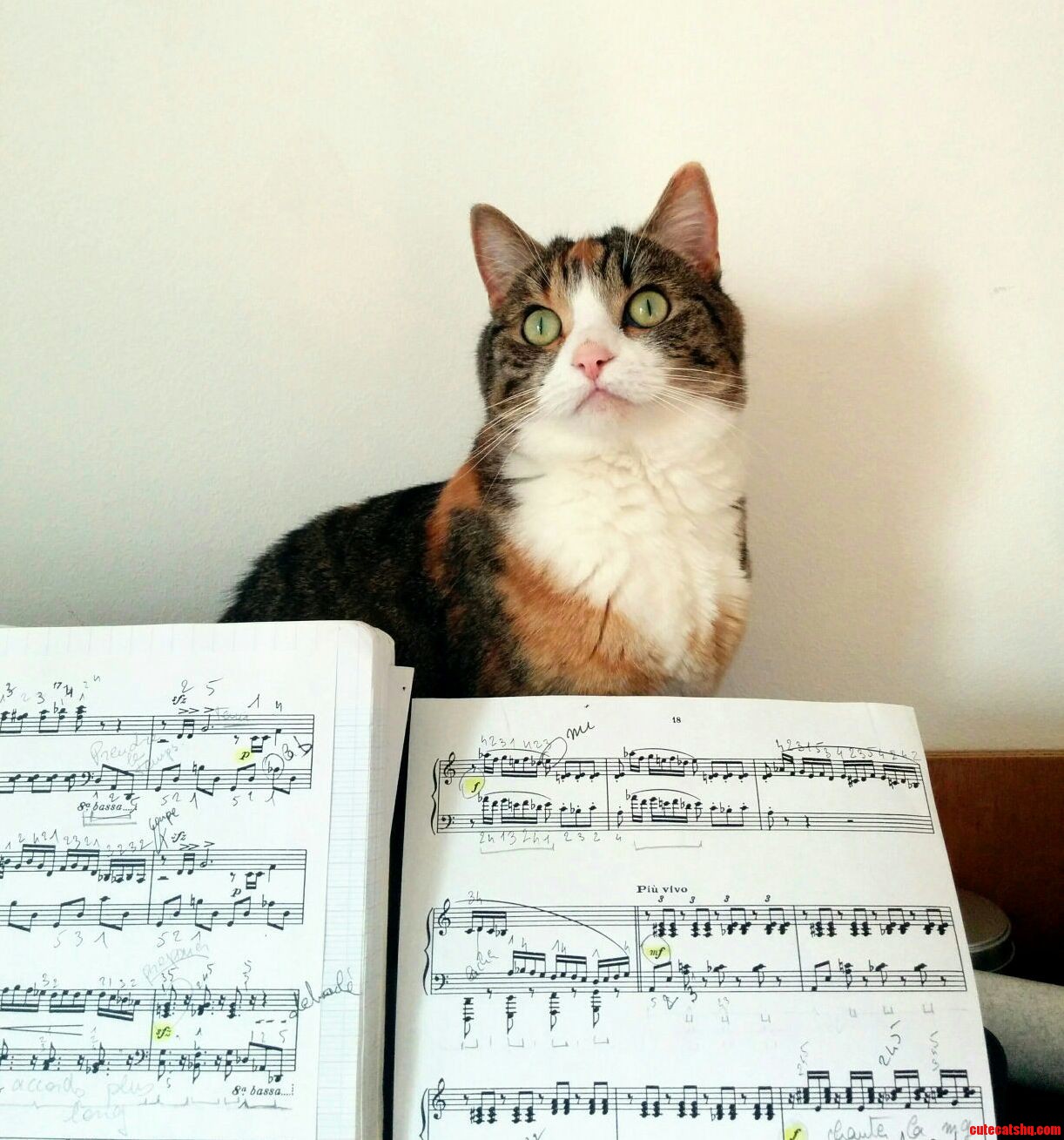 I Guess She Likes Music.