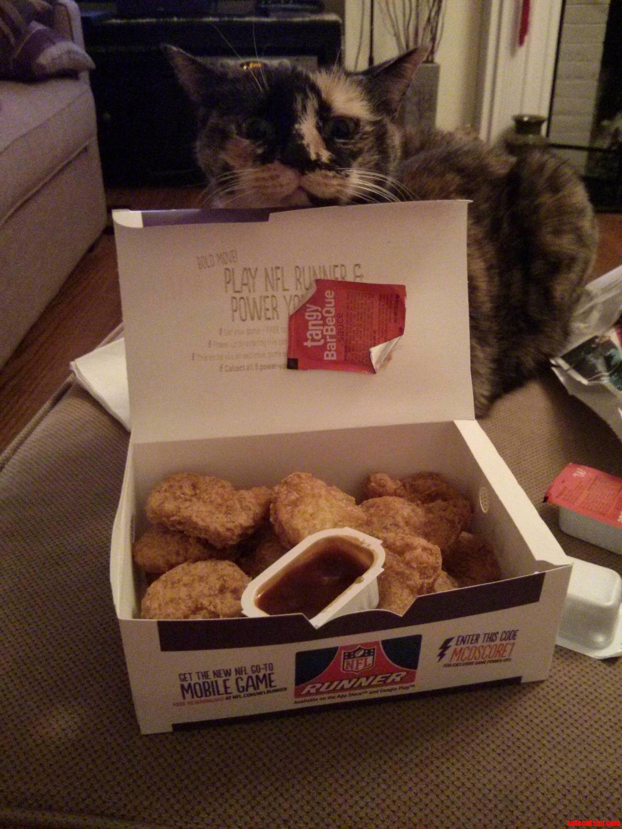 Yes. Thats How Papa Feel About These Mcnuggets Too.