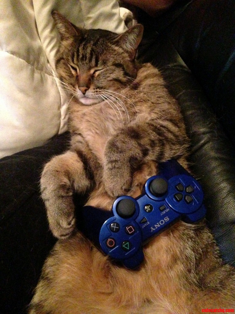 Fell Asleep Playing Playstation
