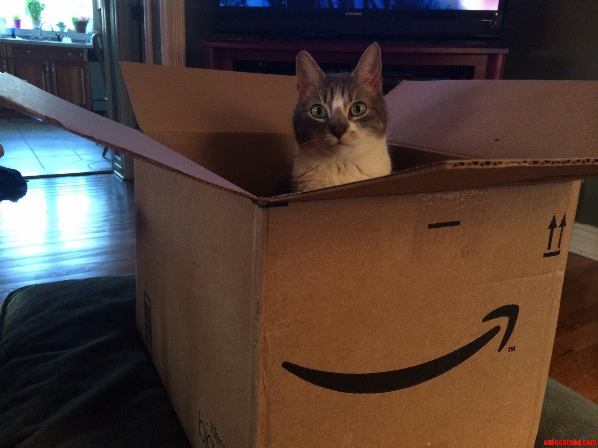 Got A Package In The Mail Today. I Turned My Back For 1 Second…