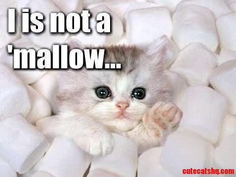 I Is Not A Mallow