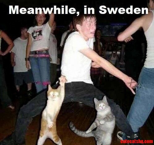 Meanwhile In Sweden…