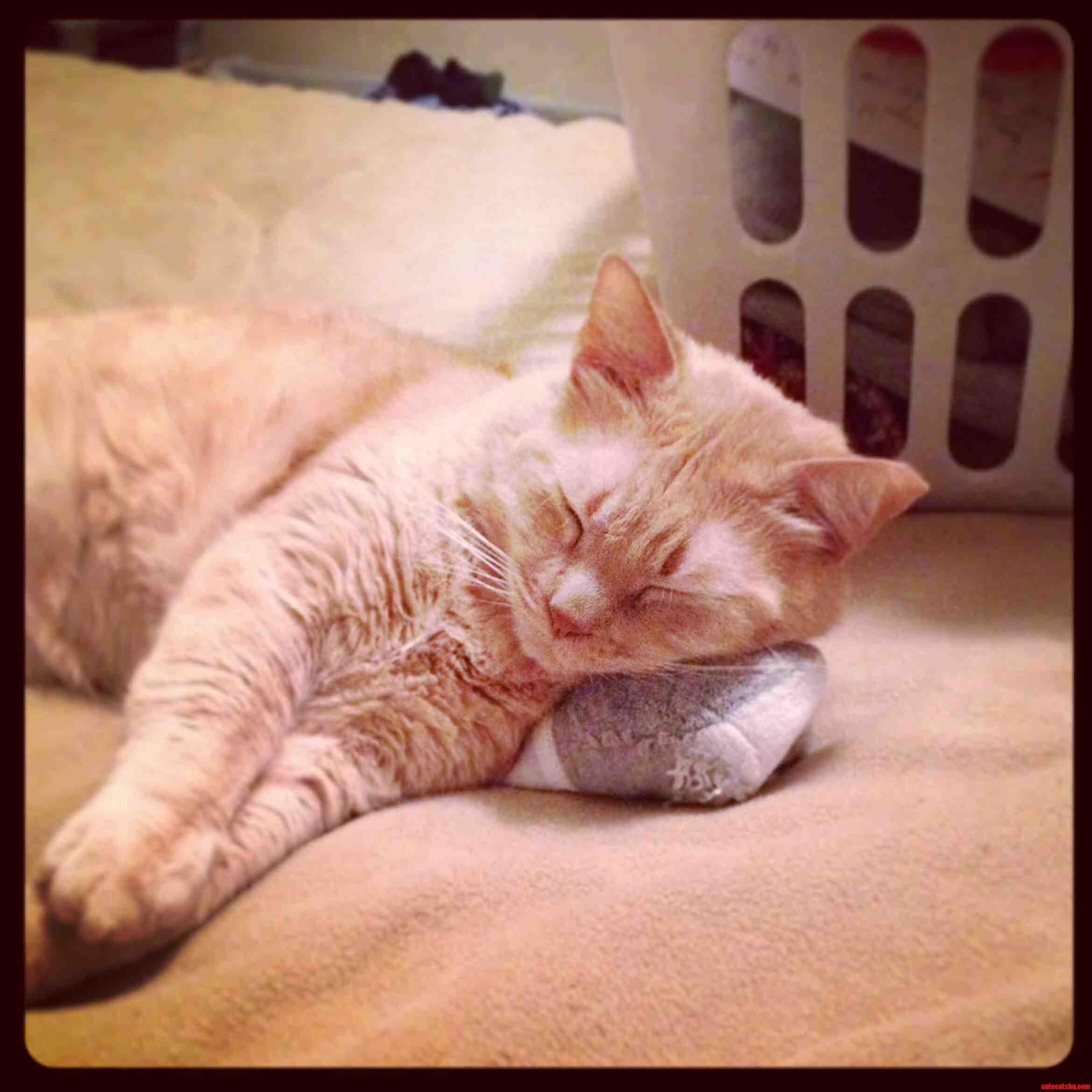 Socks As A Pillow. Hes A Genius