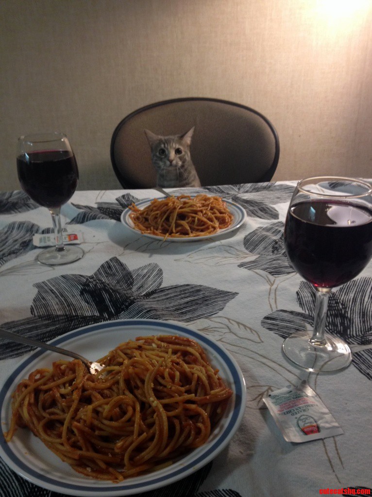 My Dinner Date Last Night
