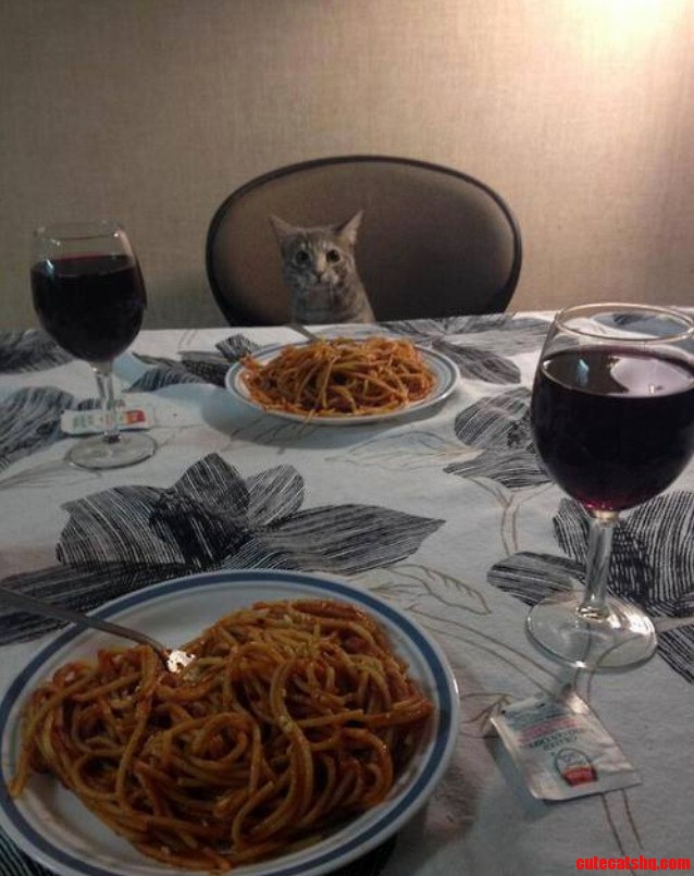 A Nice Dinner Together