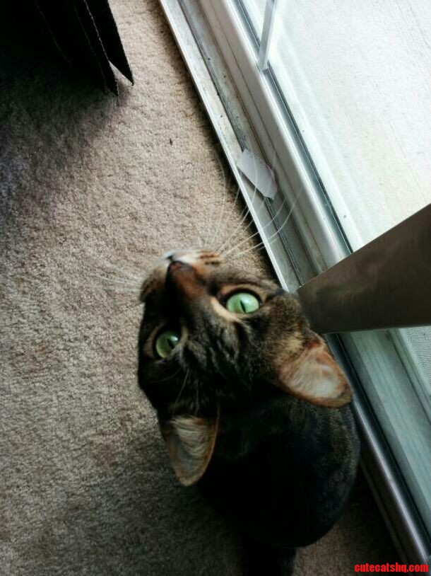 Can I Please Go Outside