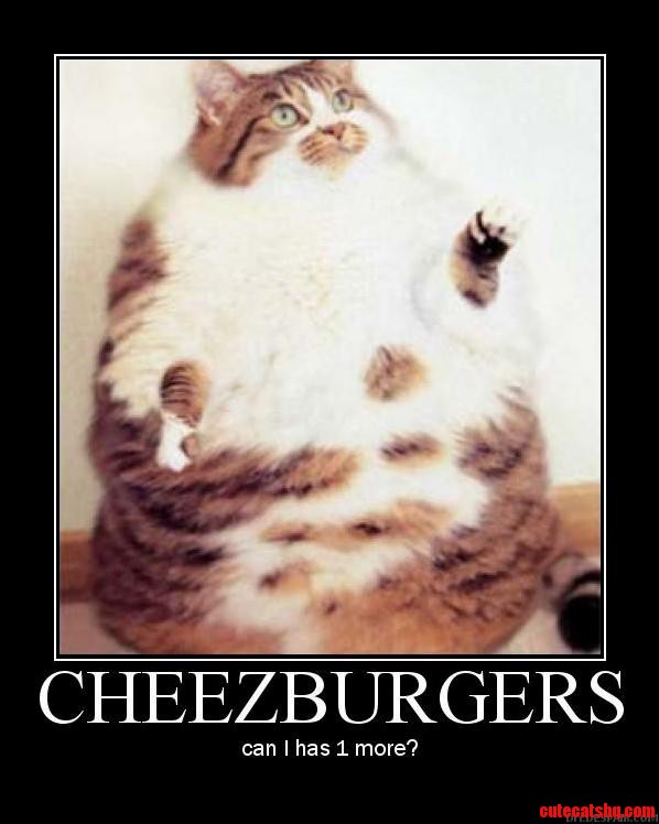 Cheez Burger Cat