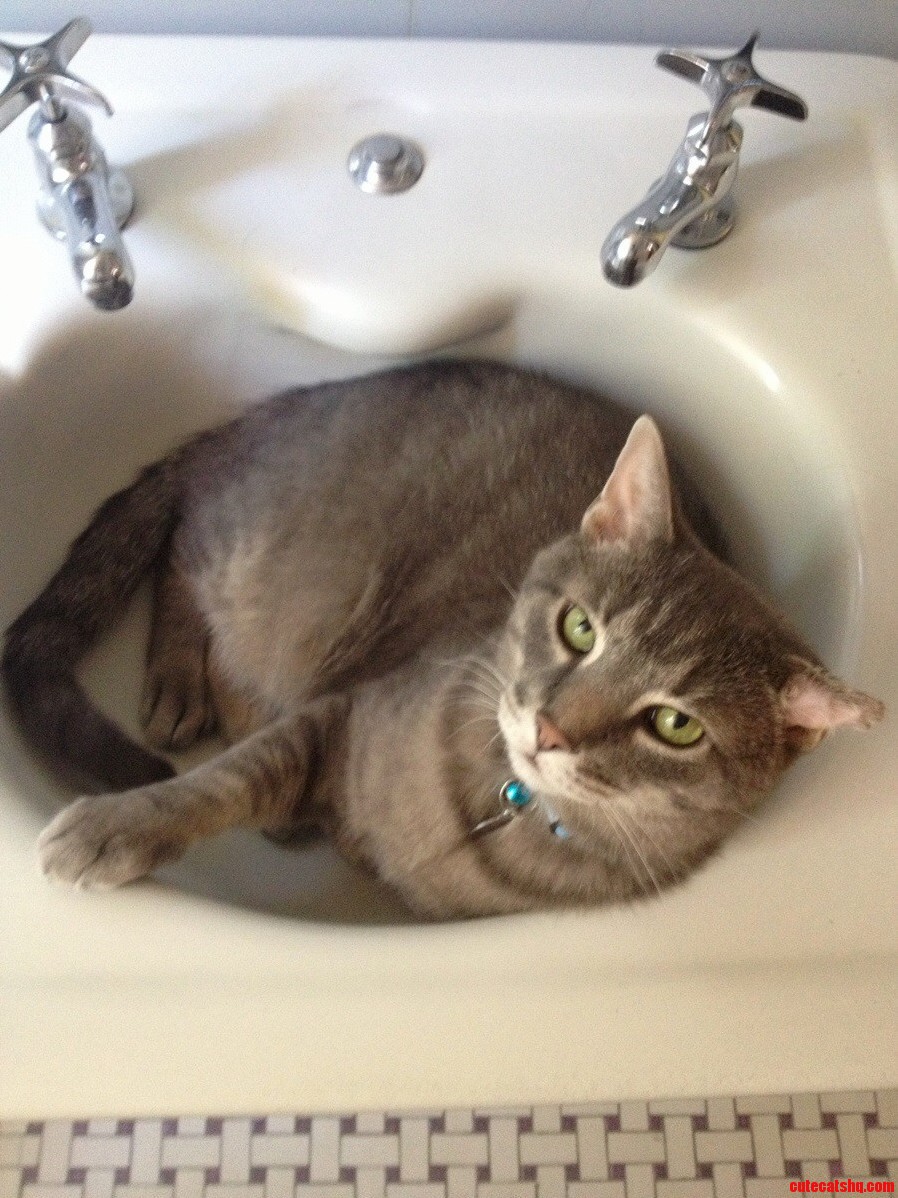 How Am I Supposed To Use My Sink Now