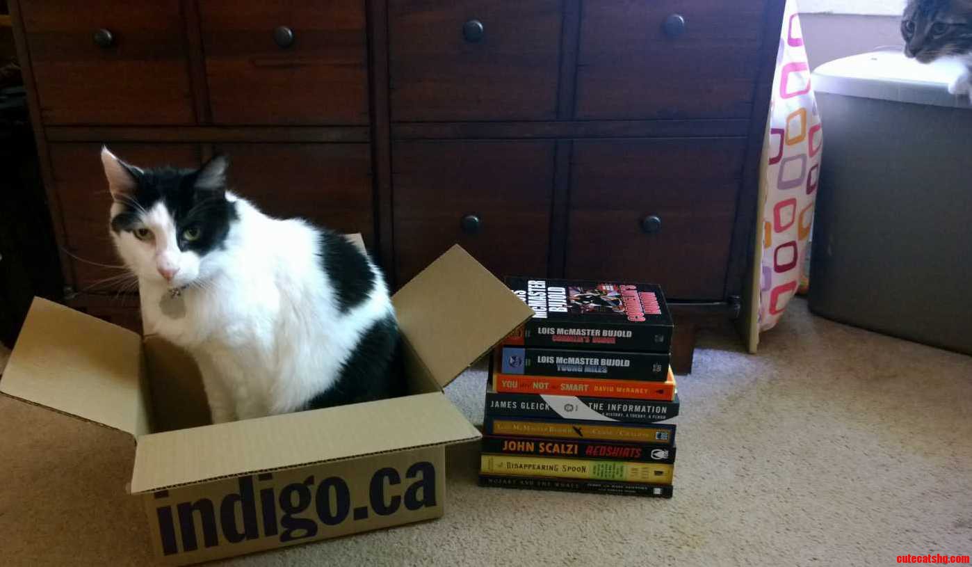 I Got Some Books. The Battle For The Box Is About To Begin.