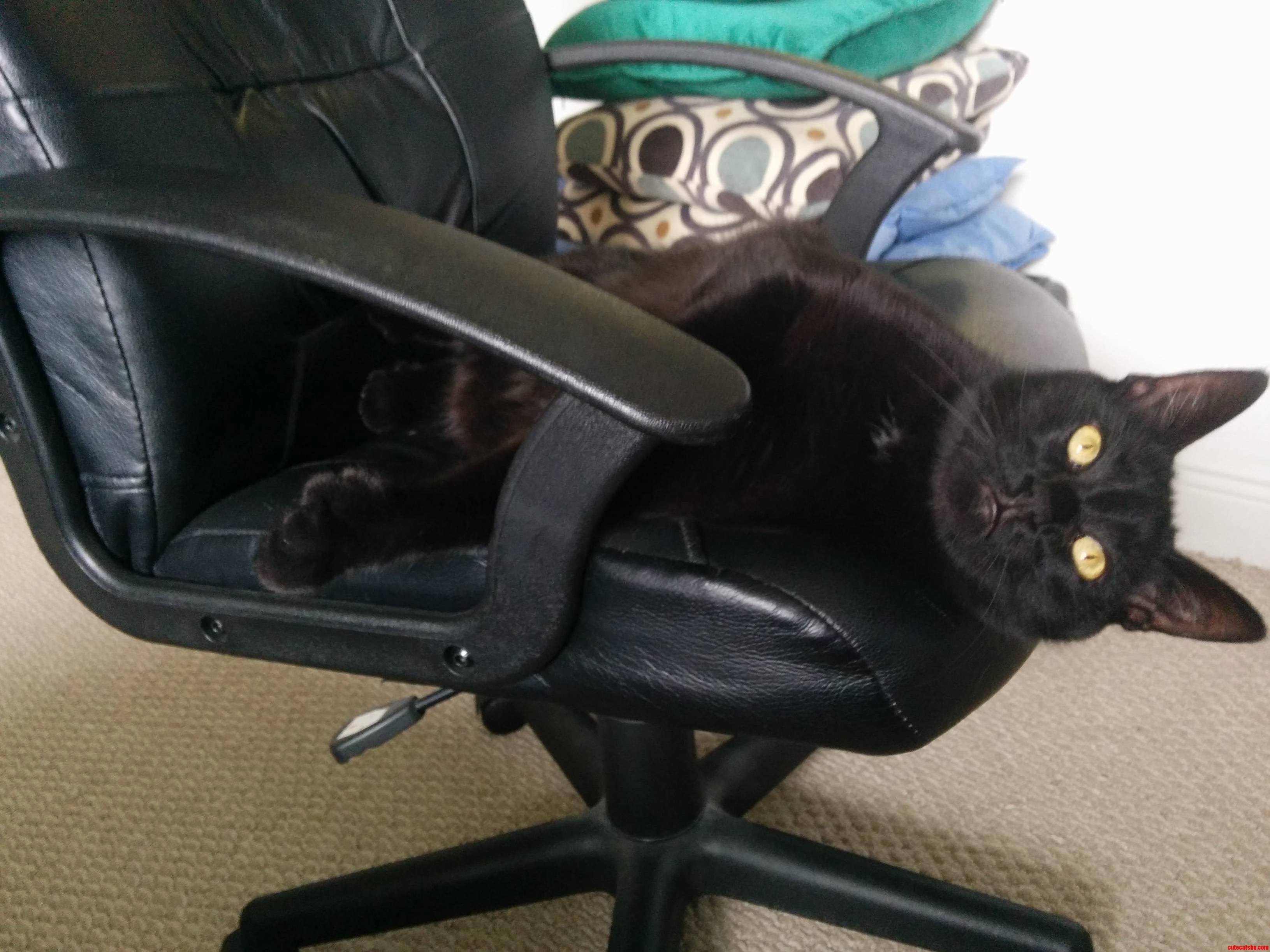 Im Sorry Was This Your Chair