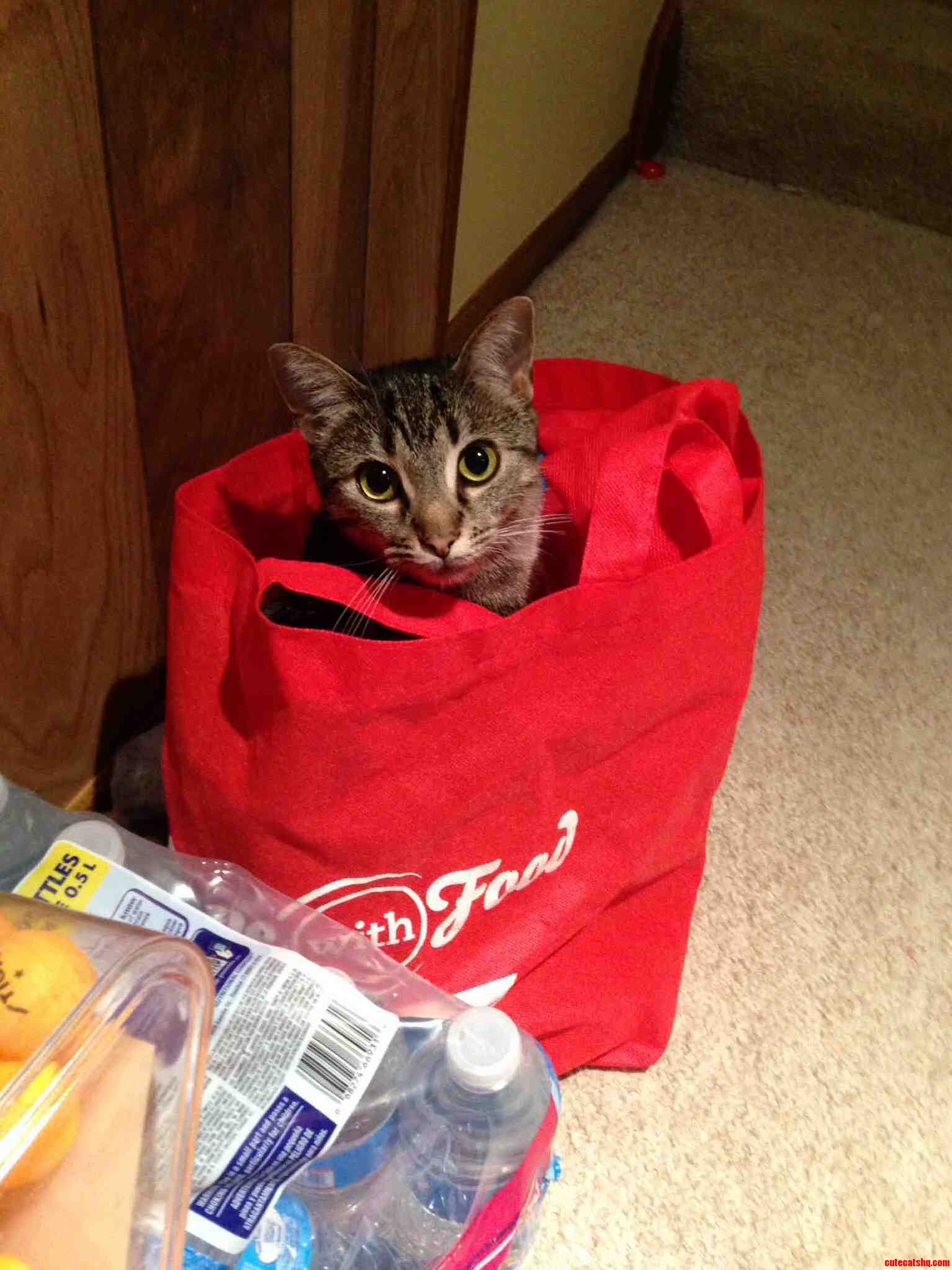 She Thinks Shes Groceries