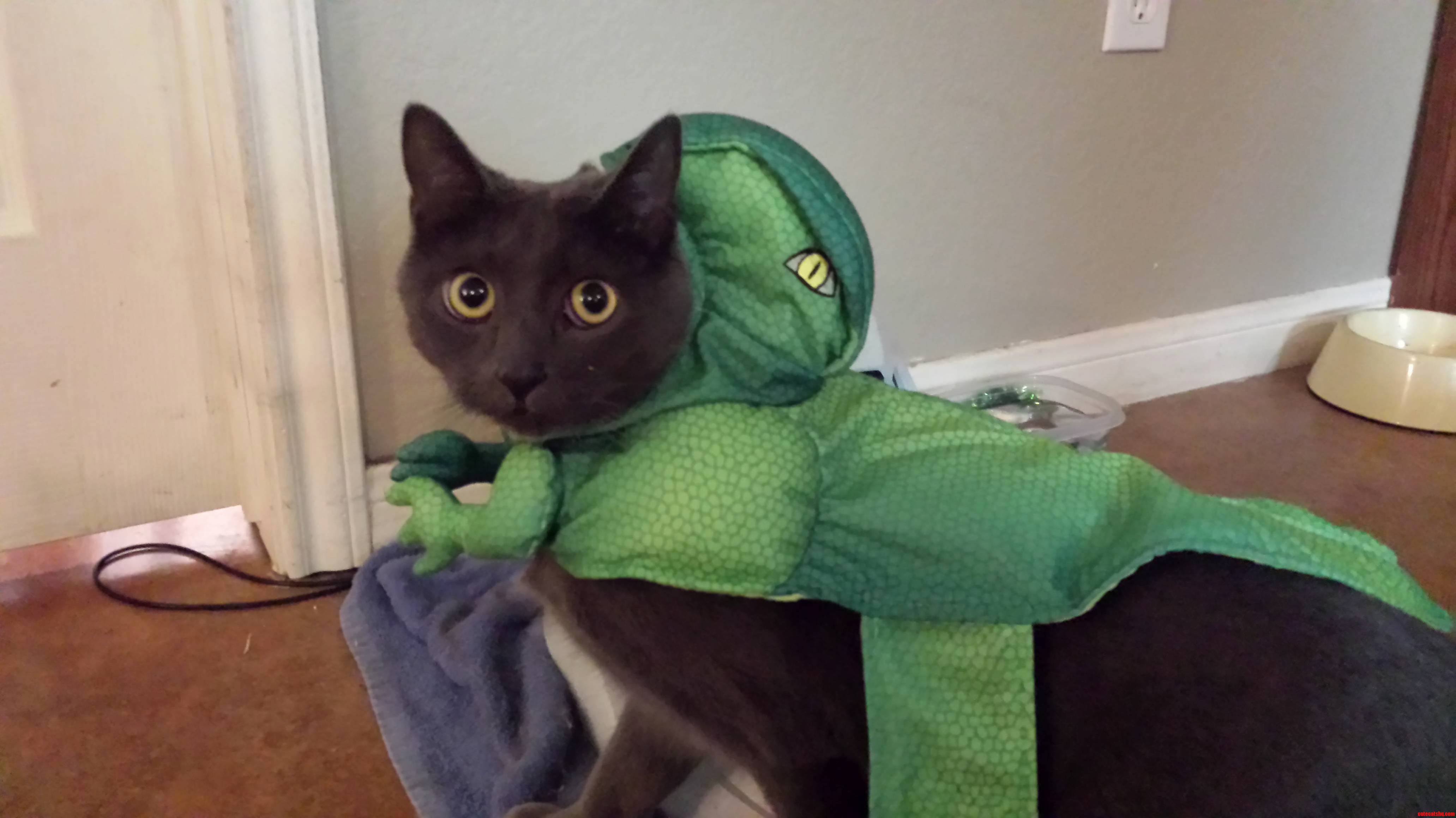 He Does Not Like His Costume