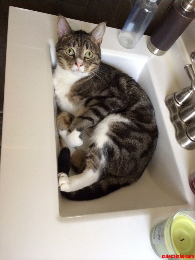I stopped turning on the faucet for him to keep kitty paws off of my sink. this is how he retaliates.
