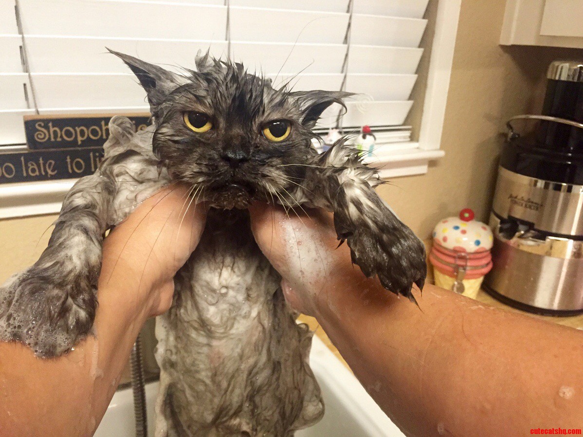 Reese loves bath time.