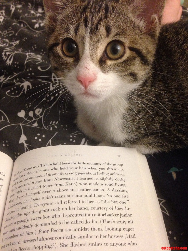 She waits patiently for pets in between page turns