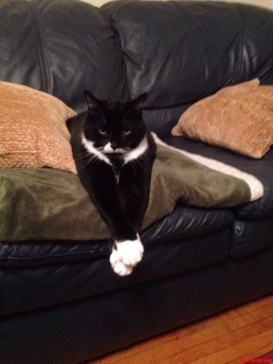 This is how tuck sits and he doesnt care what you think.