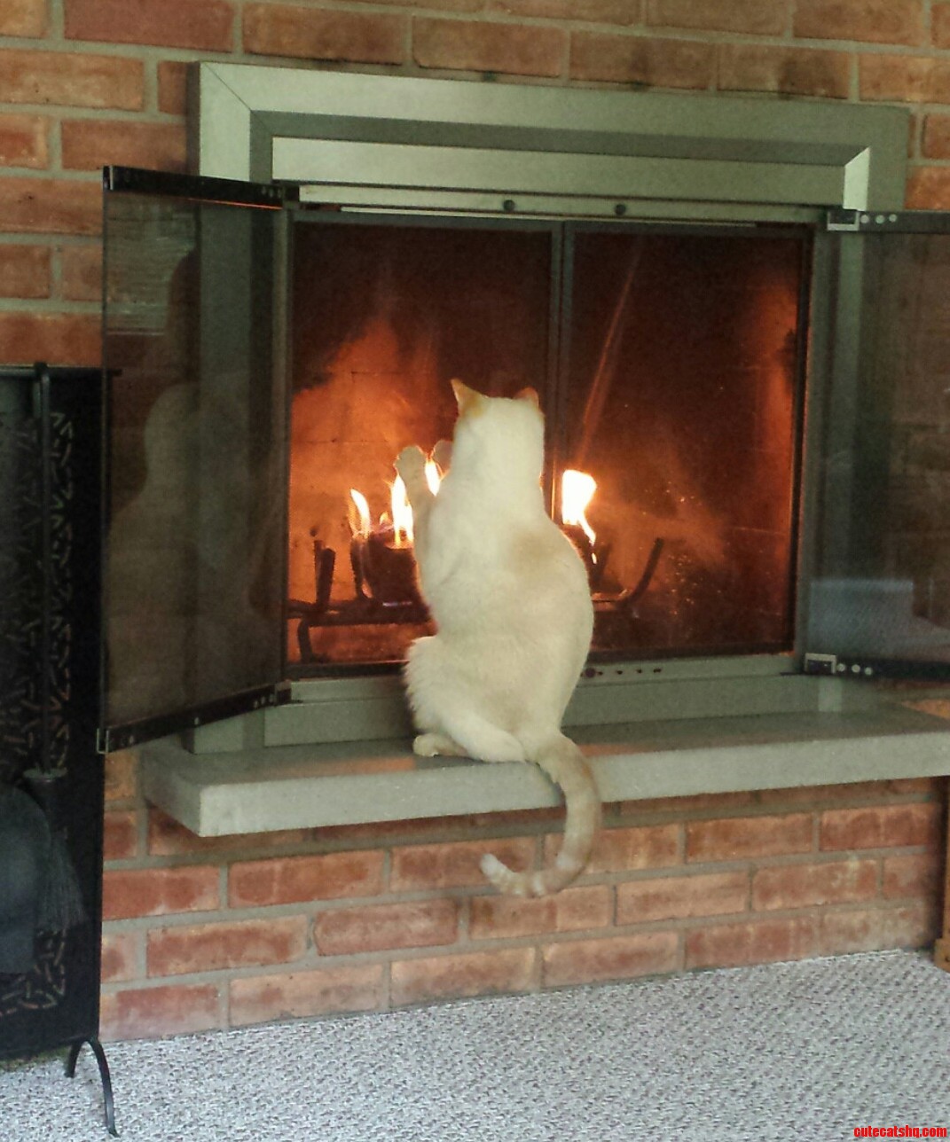 He loves the warmth.