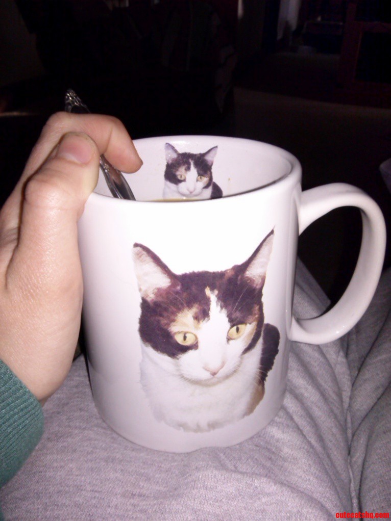 Meow mug is purrrfect