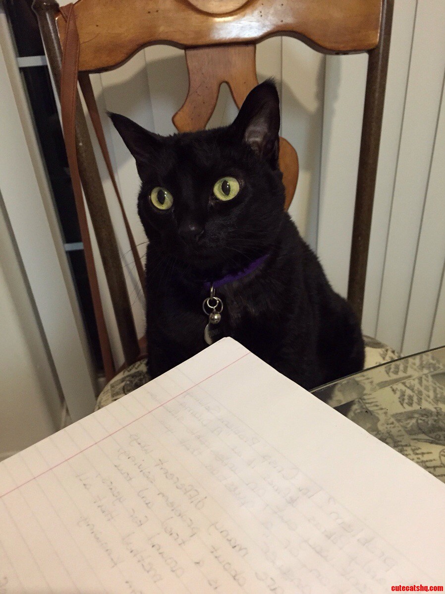 My girlfriends cat was helping her with her homework last night.
