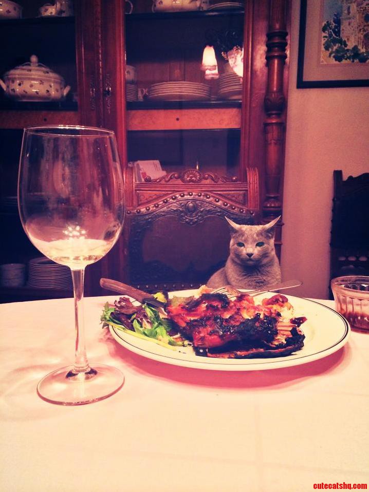 My little Lorelei enjoying a nice chicken dinner
